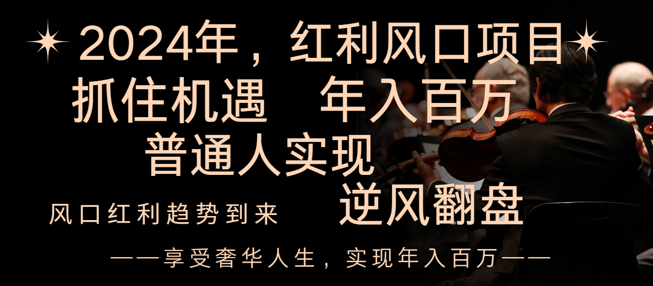 （8418期）2024红利风口项目来袭，享受第一波红利，逆风翻盘普通人也能实现，年入百万-志拓网创