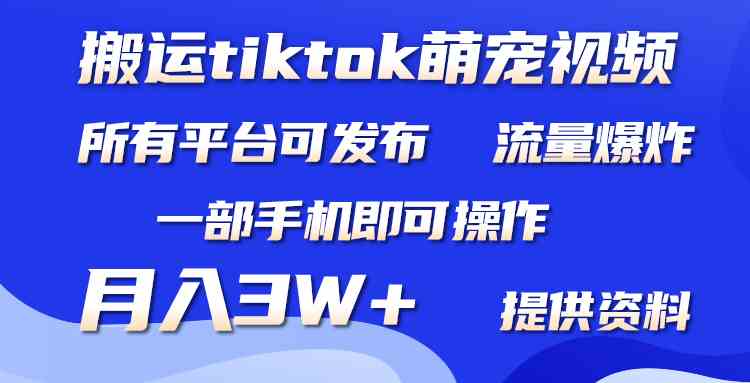 （9618期）搬运Tiktok萌宠类视频，一部手机即可。所有短视频平台均可操作，月入3W+-志拓网创