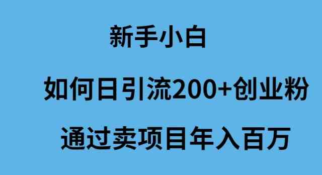 （9668期）新手小白如何日引流200+创业粉通过卖项目年入百万-志拓网创