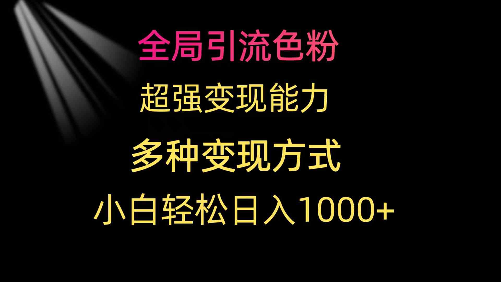 （9680期）全局引流色粉 超强变现能力 多种变现方式 小白轻松日入1000+-志拓网创