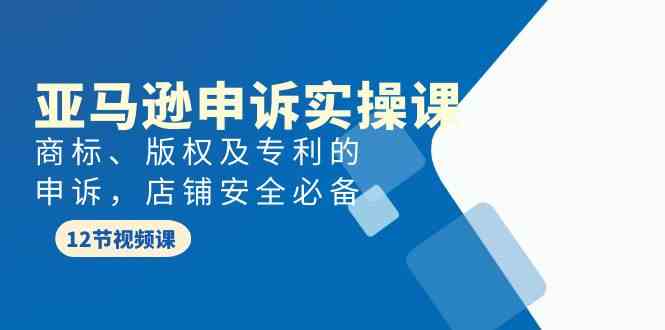 （9754期）亚马逊-申诉实战课，​商标、版权及专利的申诉，店铺安全必备-志拓网创