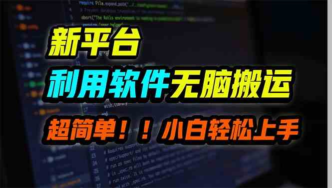 （9745期）新平台用软件无脑搬运，月赚10000+，小白也能轻松上手-志拓网创