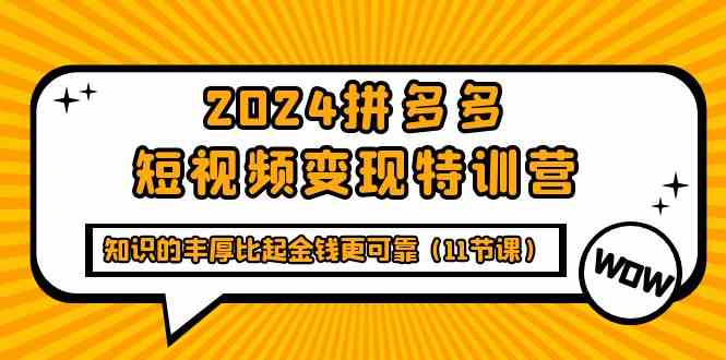 （9817期）2024拼多多短视频变现特训营，知识的丰厚比起金钱更可靠（11节课）-志拓网创