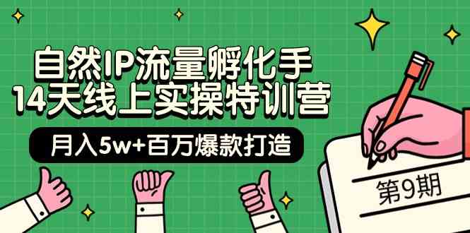 （9881期）自然IP流量孵化手 14天线上实操特训营【第9期】月入5w+百万爆款打造 (74节)-志拓网创