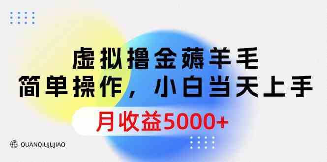 （9864期）虚拟撸金薅羊毛，简单操作，小白当天上手，月收益5000+-志拓网创