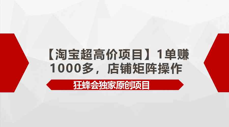 （9849期）【淘宝超高价项目】1单赚1000多，店铺矩阵操作-志拓网创