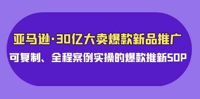 （9944期）亚马逊30亿·大卖爆款新品推广，可复制、全程案例实操的爆款推新SOP-志拓网创