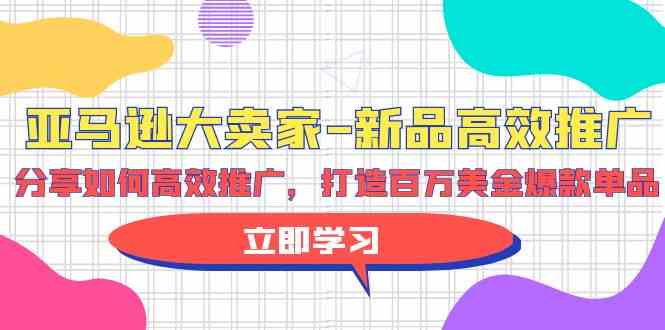（9945期）亚马逊 大卖家-新品高效推广，分享如何高效推广，打造百万美金爆款单品-志拓网创
