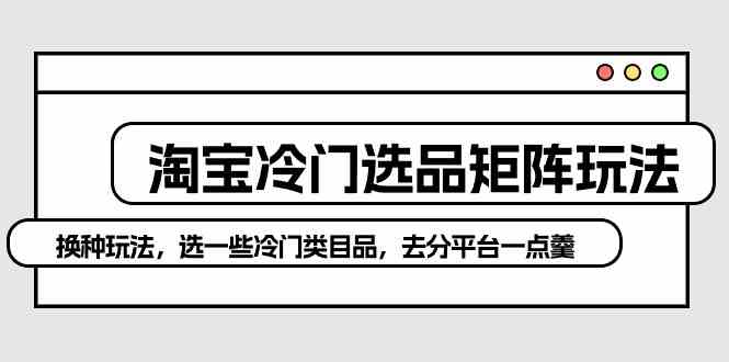（10159期）淘宝冷门选品矩阵玩法：换种玩法，选一些冷门类目品，去分平台一点羹-志拓网创