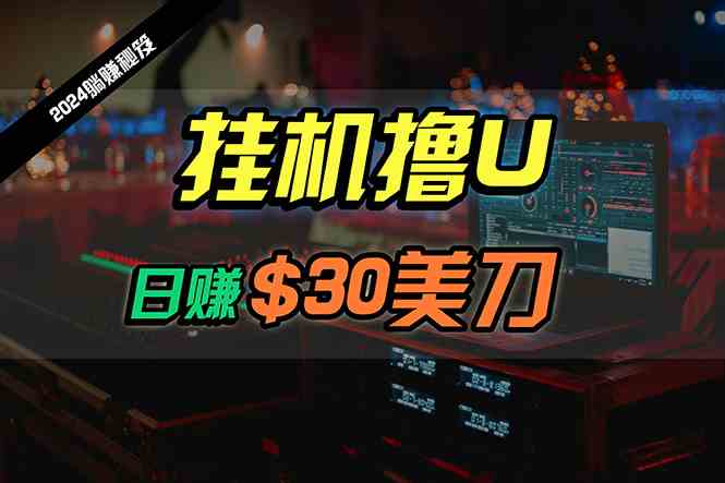 （10013期）日赚30美刀，2024最新海外挂机撸U内部项目，全程无人值守，可批量放大-志拓网创