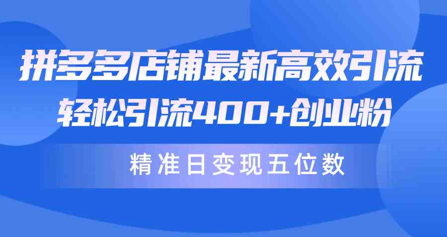 （10041期）拼多多店铺最新高效引流术，轻松引流400+创业粉，精准日变现五位数！-志拓网创