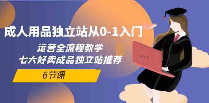 （10082期）成人用品独立站从0-1入门，运营全流程教学，七大好卖成品独立站推荐-6节课-志拓网创