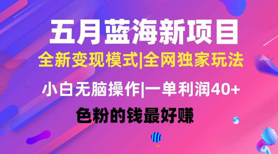 （10477期）五月蓝海项目全新玩法，小白无脑操作，一天几分钟，矩阵操作，月入4万+-志拓网创