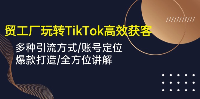 （10302期）外贸工厂玩转TikTok高效获客，多种引流方式/账号定位/爆款打造/全方位讲解-志拓网创