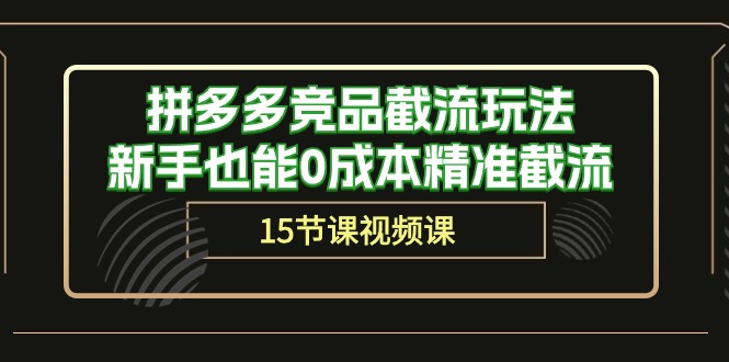 （10301期）拼多多竞品截流玩法，新手也能0成本精准截流（15节课）-志拓网创