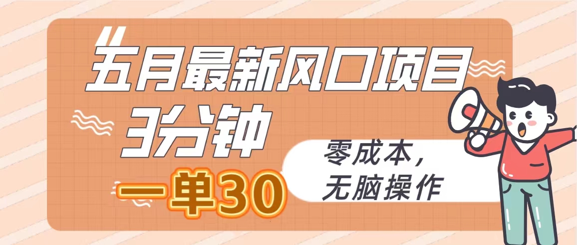 （10256期）五月最新风口项目，3分钟一单30，零成本，无脑操作-志拓网创