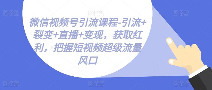 微信视频号引流课程-引流+裂变+直播+变现，获取红利，把握短视频超级流量风口-志拓网创