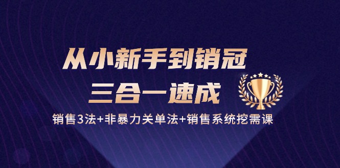 （10799期）从小新手到销冠 三合一速成：销售3法+非暴力关单法+销售系统挖需课 (27节)-志拓网创