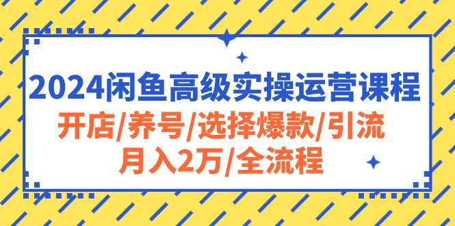 （10711期）2024闲鱼高级实操运营课程：开店/养号/选择爆款/引流/月入2万/全流程-志拓网创