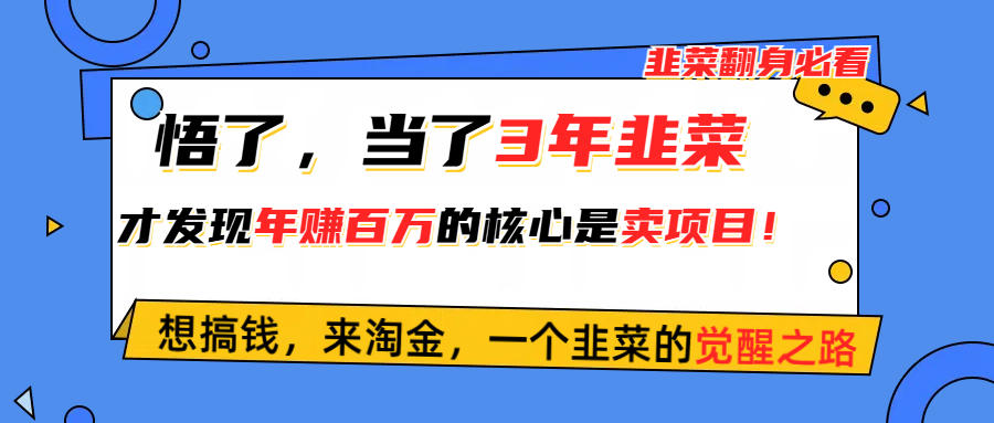 （10759期）悟了，当了3年韭菜，才发现网赚圈年赚100万的核心是卖项目，含泪分享！-志拓网创