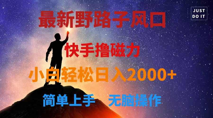（10754期）最新风口！快手撸磁力，野路子，小白无脑操作日入2000+-志拓网创