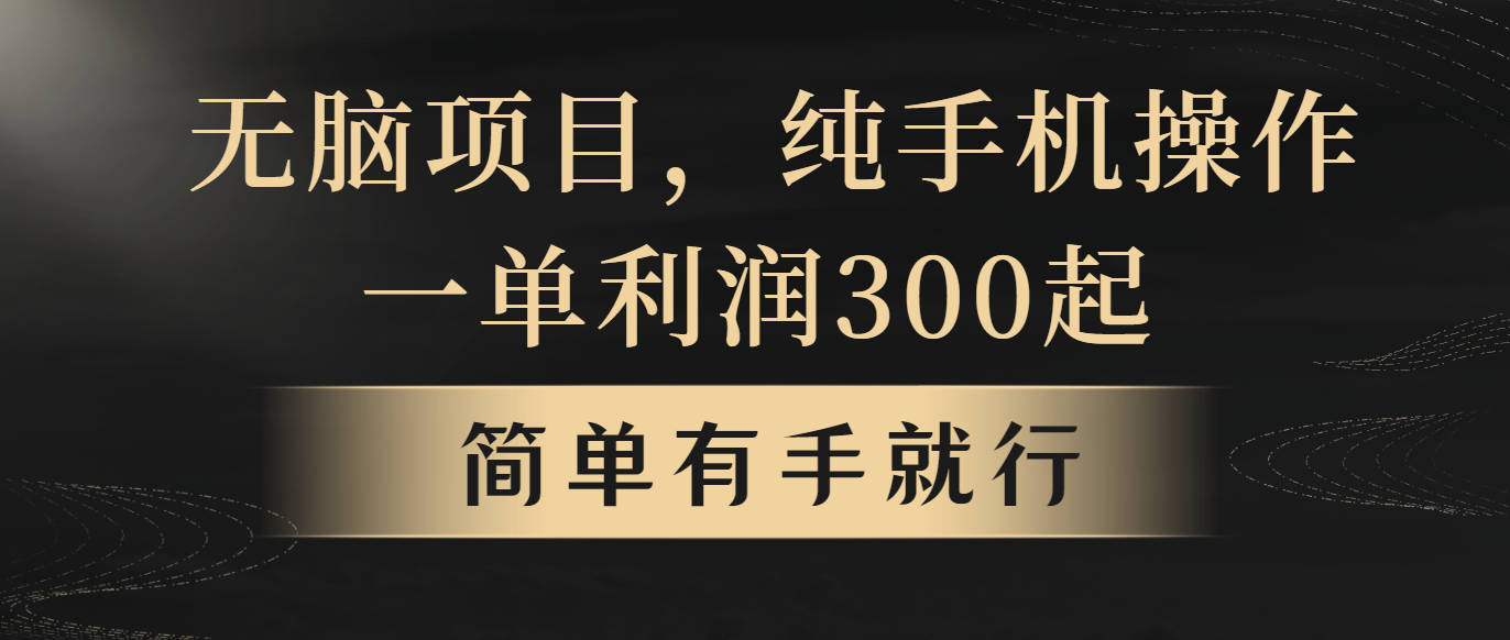 （10589期）无脑项目，一单几百块，轻松月入5w+，看完就能直接操作-志拓网创