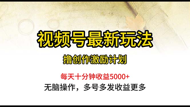 （10591期）视频号最新玩法，每日一小时月入5000+-志拓网创