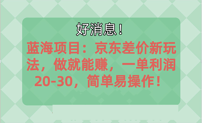 （10989期）越早知道越能赚到钱的蓝海项目：京东大平台操作，一单利润20-30，简单…-志拓网创