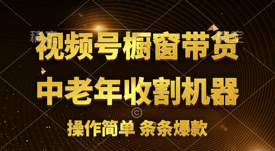 （11009期）[你的孩子成功取得高位]视频号最火爆赛道，橱窗带货，流量分成计划，条…-志拓网创