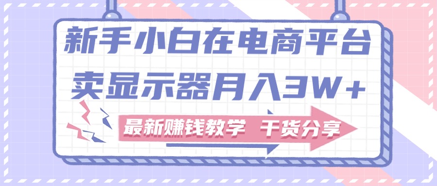 （11053期）新手小白如何做到在电商平台卖显示器月入3W+，最新赚钱教学干货分享-志拓网创