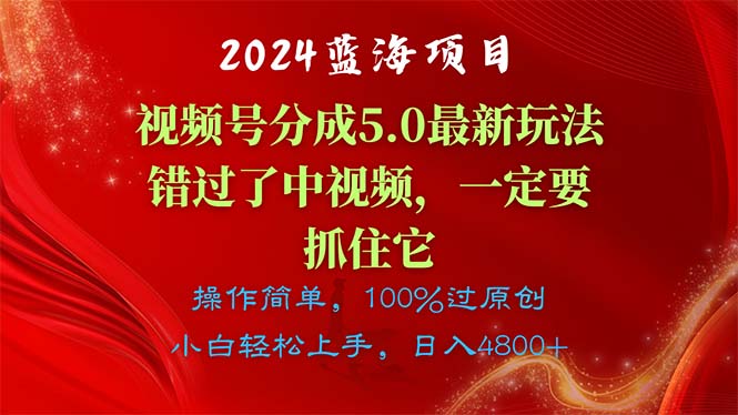 （11032期）2024蓝海项目，视频号分成计划5.0最新玩法，错过了中视频，一定要抓住…-志拓网创
