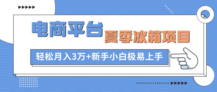 （10934期）电商平台夏季冰箱项目，轻松月入3万+，新手小白极易上手-志拓网创