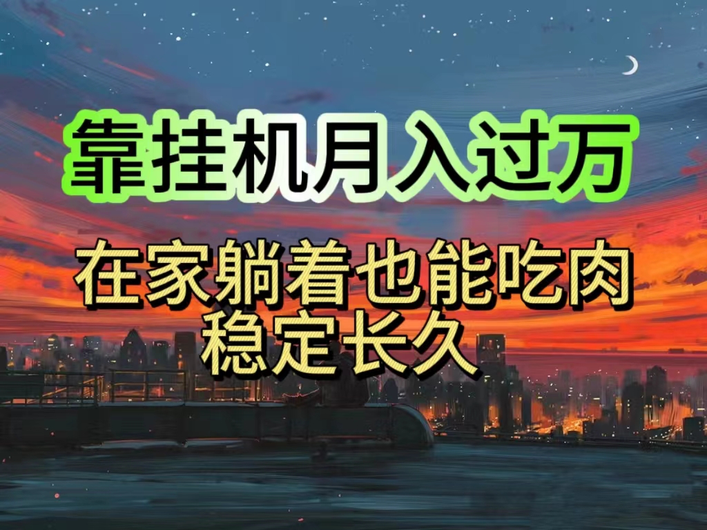 （10921期）挂机项目日入1000+，躺着也能吃肉，适合宝爸宝妈学生党工作室，电脑手…-志拓网创