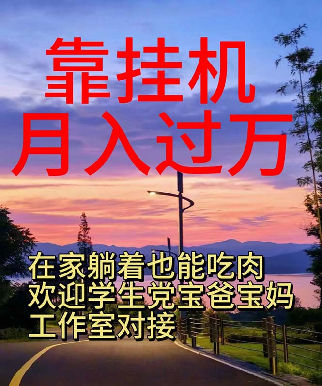 （10838期）靠挂机，日入1000+，躺着也能吃肉，适合宝爸宝妈学生党工作室，电脑手…-志拓网创