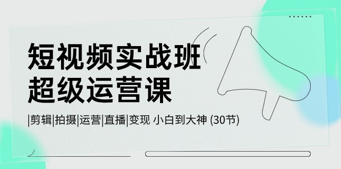 （10836期）短视频实战班-超级运营课，|剪辑|拍摄|运营|直播|变现 小白到大神 (30节)-志拓网创