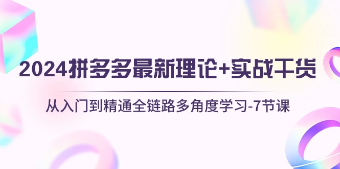 （10816期）2024拼多多 最新理论+实战干货，从入门到精通全链路多角度学习-7节课-志拓网创