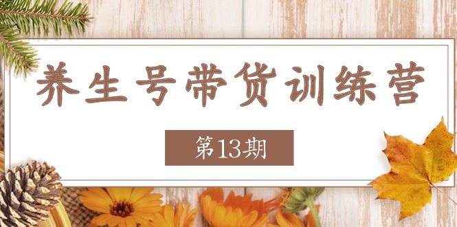 （11275期）养生号-带货训练营【第13期】收益更稳定的玩法，让你带货收益爆炸-志拓网创
