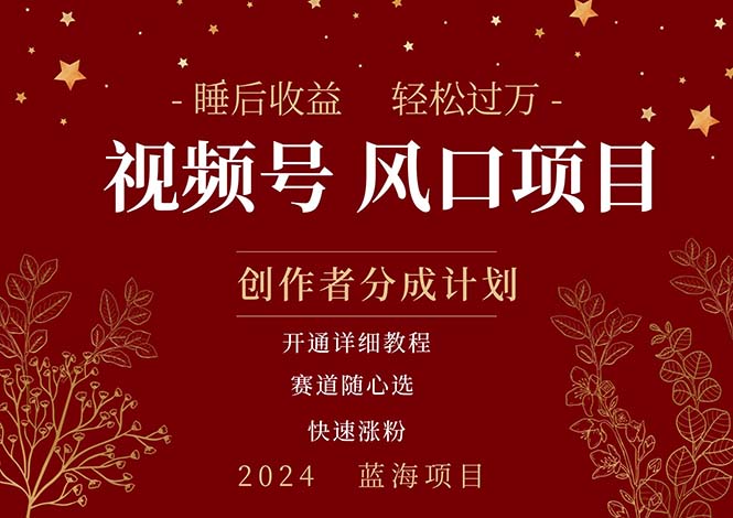 （11331期）拥有睡眠收益的微信视频号大风口项目，轻松月入过万+，多赛道选择，可…-志拓网创