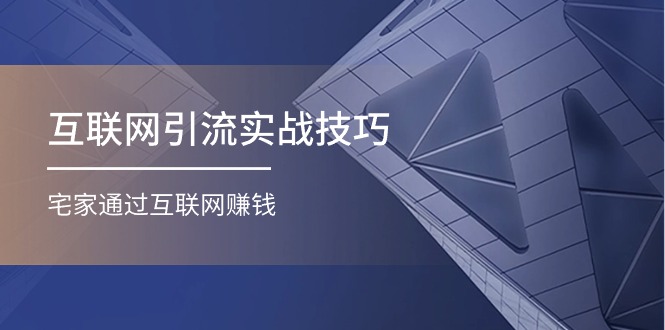 （11108期）互联网引流实操技巧(适合微商，吸引宝妈)，宅家通过互联网赚钱（17节）-志拓网创