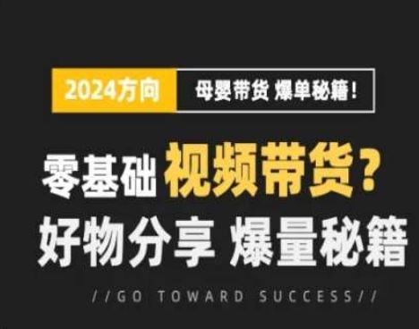 短视频母婴赛道实操流量训练营，零基础视频带货，好物分享，爆量秘籍-志拓网创