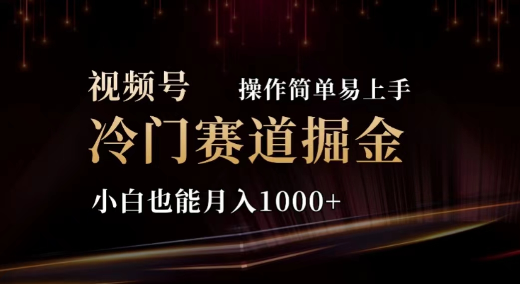 （11378期）2024视频号冷门赛道掘金，操作简单轻松上手，小白也能月入1000+-志拓网创