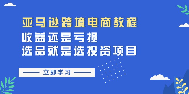 （11432期）亚马逊跨境电商教程：收益还是亏损！选品就是选投资项目-志拓网创
