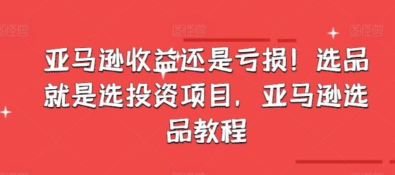 亚马逊收益还是亏损！选品就是选投资项目，亚马逊选品教程-志拓网创