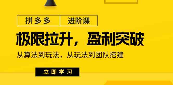 拼多多进阶课：极限拉升/盈利突破：从算法到玩法 从玩法到团队搭建（18节）-志拓网创