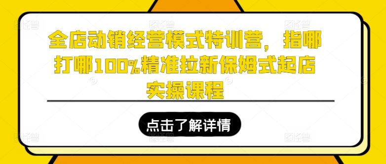 全店动销经营模式特训营，指哪打哪100%精准拉新保姆式起店实操课程-志拓网创