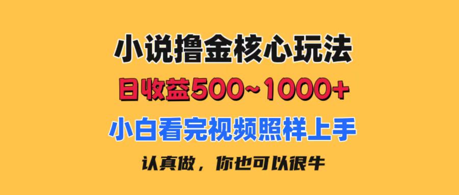 （11461期）小说撸金核心玩法，日收益500-1000+，小白看完照样上手，0成本有手就行-志拓网创