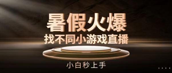 暑假火爆找不同小游戏直播间，小白秒上手【揭秘】-志拓网创