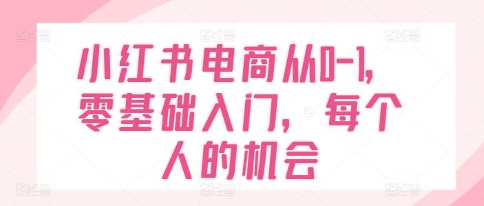 小红书电商从0-1，零基础入门，每个人的机会-志拓网创