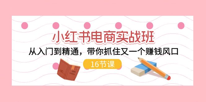 （11533期）小红书电商实战班，从入门到精通，带你抓住又一个赚钱风口（16节）-志拓网创