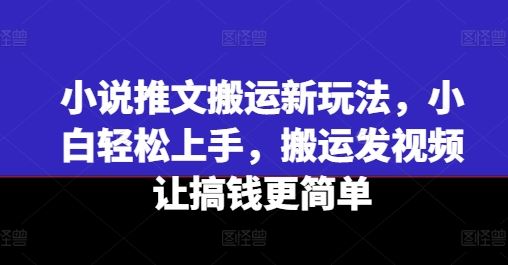 小说推文搬运新玩法，小白轻松上手，搬运发视频让搞钱更简单-志拓网创